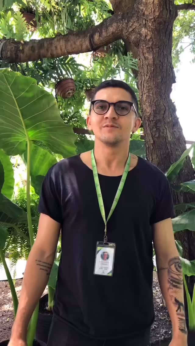 Hoje na Novo Garden eu vou te mostrar, de forma rápida e simples, como fazer um replantio perfeito.
#novogarden #natureza #paisagismo #plantas #amor