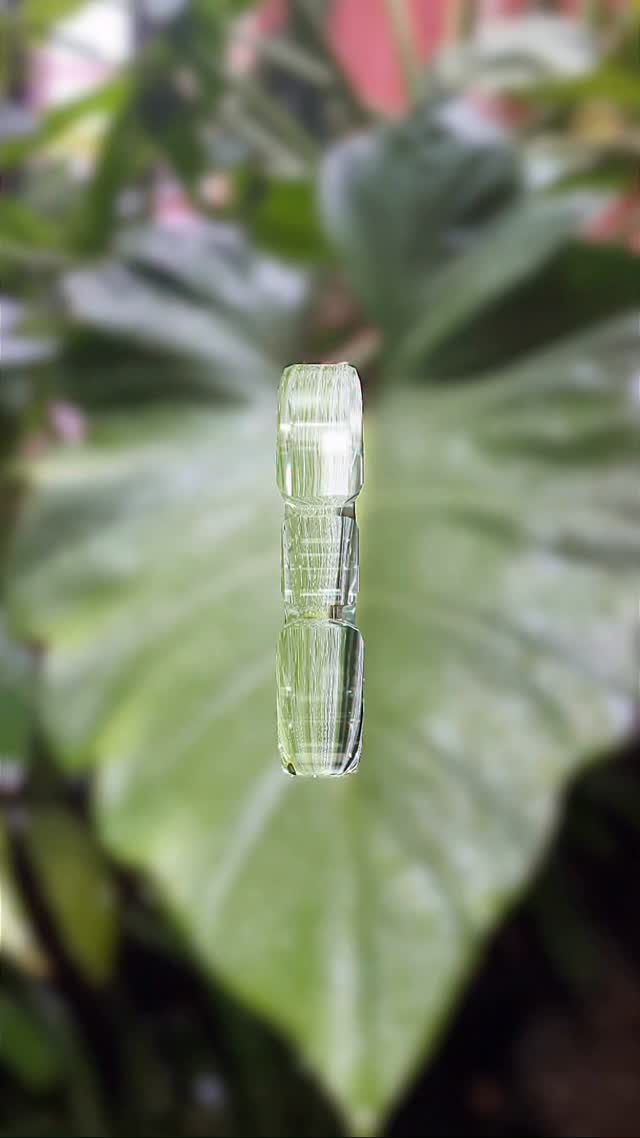 #novogarden #natureza #paisagismo #plantas #amor #garden #plantasdecasa #novo #verde #paz