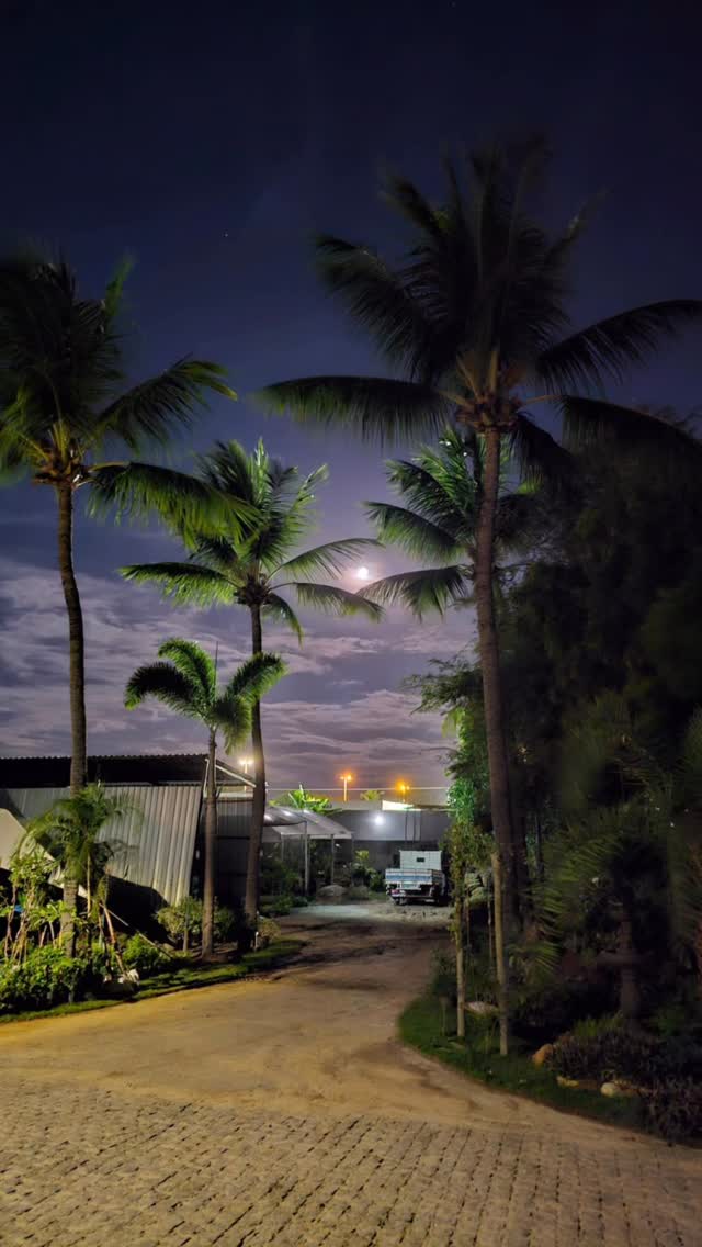 #novogarden #natureza #paisagismo #plantas #amor