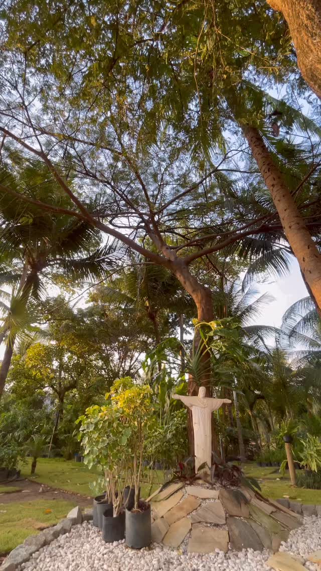 #novogarden #natureza #paisagismo #plantas #amor