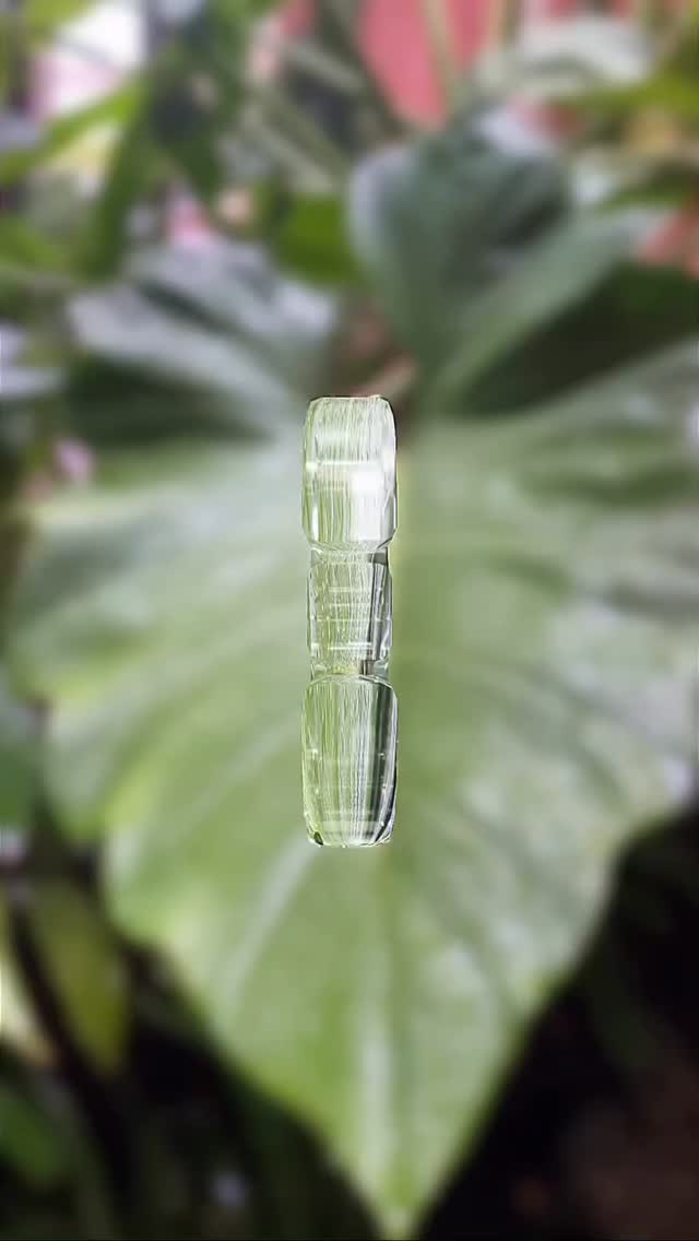 #novogarden #natureza #paisagismo #plantas #amor