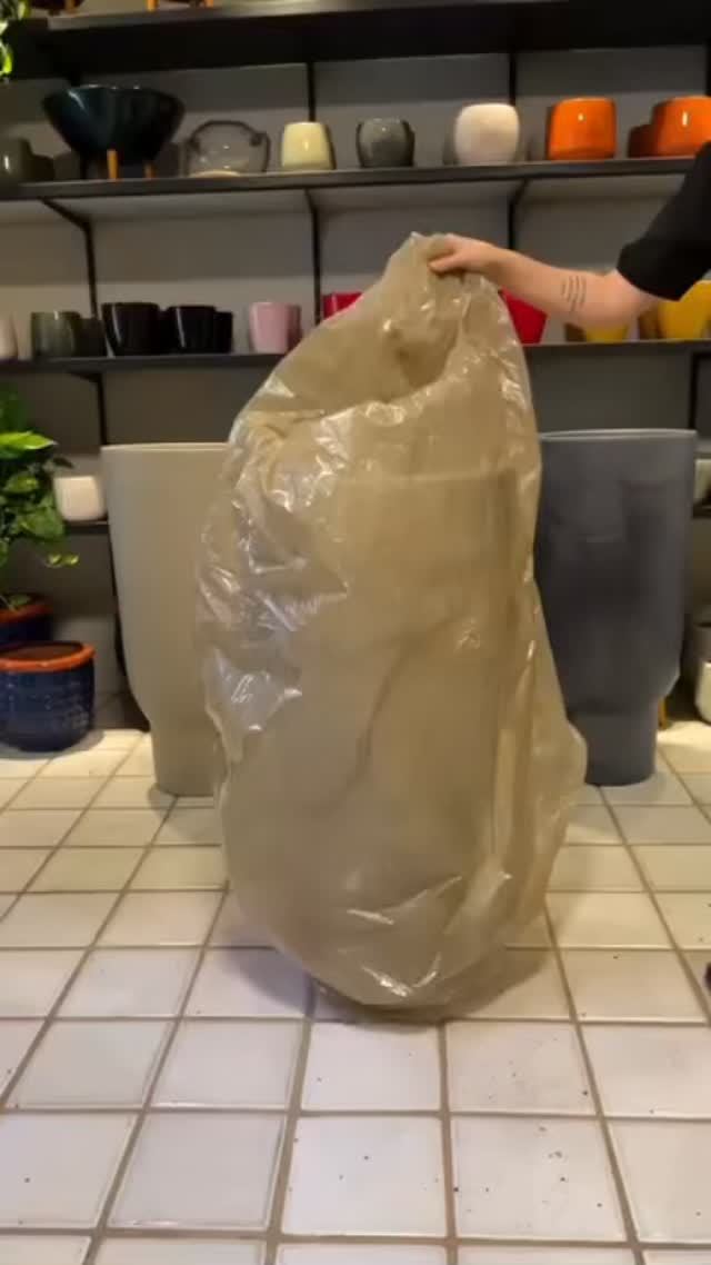 #novogarden #natureza #paisagismo #plantas #amor