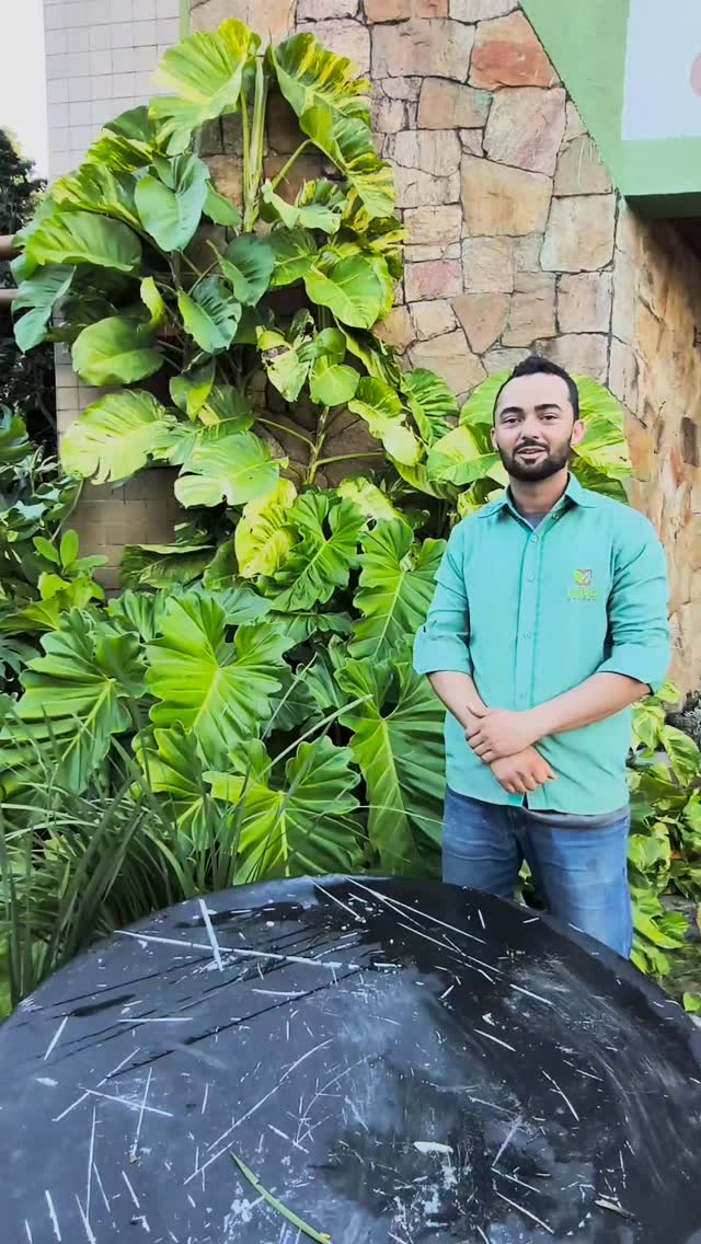 #novogarden #natureza #paisagismo #plantas #garden