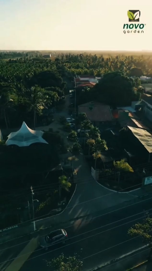 Novo Garden  conectando você à natureza.
Cada planta, cada detalhe, cada ambiente transformado para trazer mais vida, bem-estar e harmonia ao seu dia.
Porque estar perto da natureza é cultivar momentos especiais.
Novo Garden, conectando você à natureza.
#novogarden 
#natureza 
#paisagismo 
#amor 
#plantasdecasa