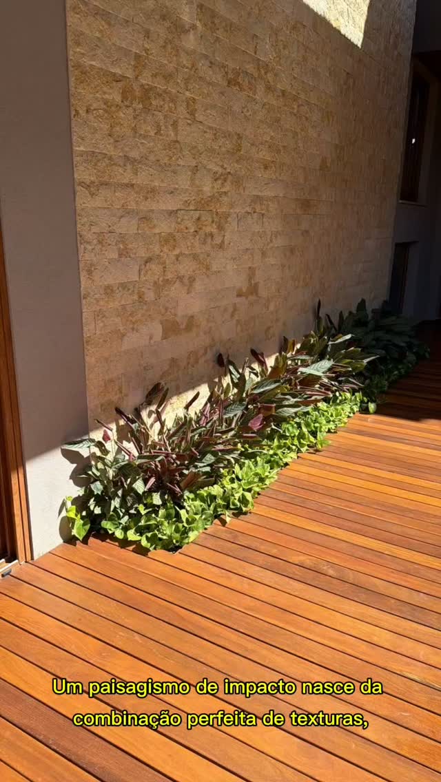 #novogarden #natureza #paisagismo #plantas #plantasdecasa