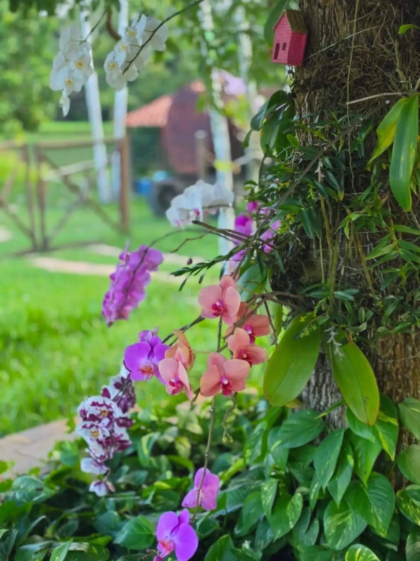 Escolher o local correto garante que a planta receba a iluminação, a drenagem e o espaço ideais para se desenvolver de forma saudável.

#paisagismo #jardinagem #jardim #arquiteturadepaisagem #projetodepaisagismo plantas natureza