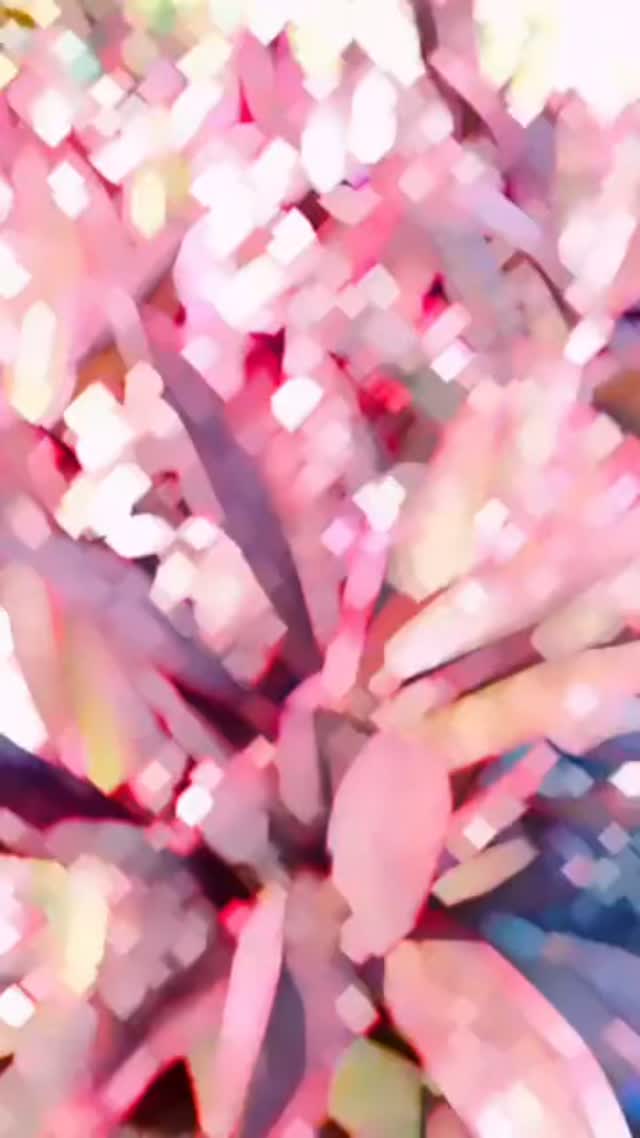 A beleza das plantas está em cada detalhe. 
Nas cores, nas formas, no crescimento e na capacidade de transformar qualquer espaço.
Cuidar de uma planta é também cultivar beleza, vida e conexão com a natureza.