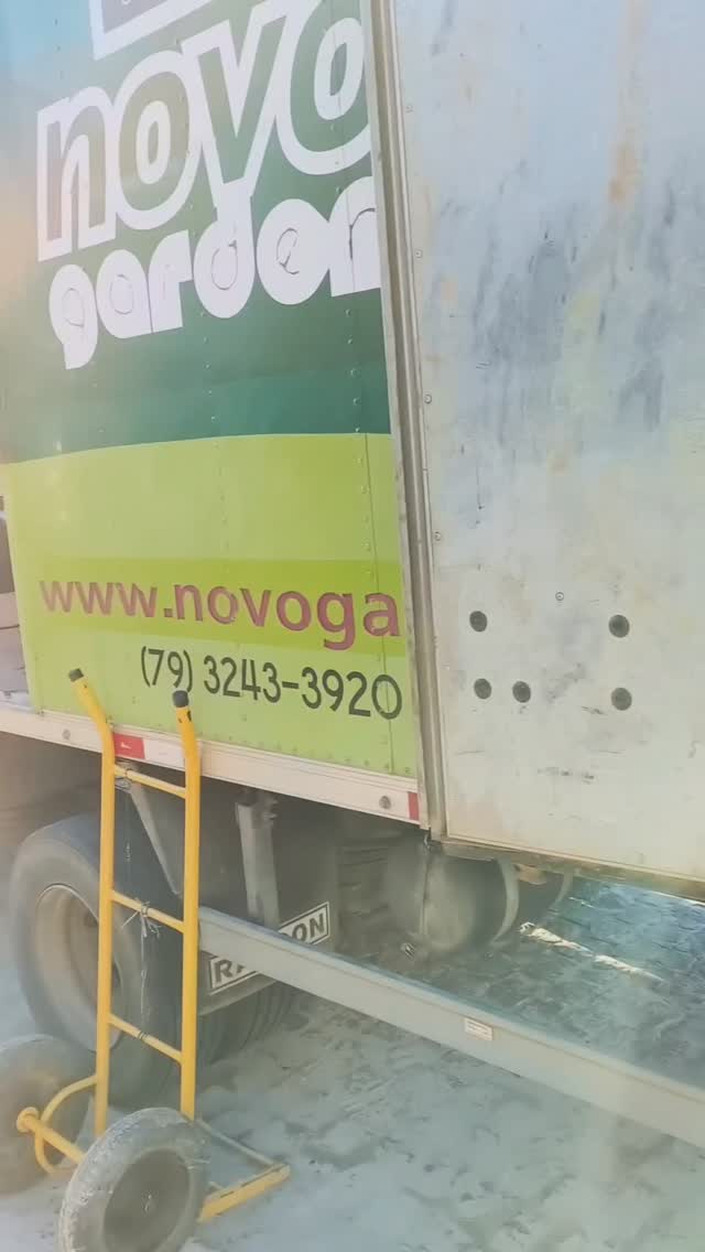 Hoje foi dia de levar vida, elegância e aconchego para dentro de um lar.  Paisagismo interno com vasos, transformando ambientes em espaços cheios de personalidade.
#novogarden 
#natureza 
#amor 
#garden 
#plantasdecasa