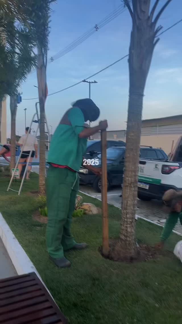 2025 foi um ano de muito trabalho, aprendizado e crescimento. Cada planta cultivada, cada cliente atendido e cada projeto realizado carregam dedicação, amor e propósito.

Seguimos firmes no compromisso de oferecer qualidade, beleza e vida através das plantas, sempre buscando evoluir no atendimento, nos produtos e nos sonhos que cultivamos junto com vocês.

Nada disso seria possível sem nossos clientes, parceiros e equipe, que confiaram, apoiaram e caminharam conosco ao longo do ano. Vocês fazem parte de cada conquista.

Que 2026 venha ainda mais verde, com novas ideias, mais projetos realizados e muitos ambientes transformados.

🌱 Seguimos cultivando sonhos.
Com gratidão,
Novo Garden